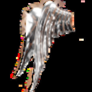 Meet your Posher, Wowi